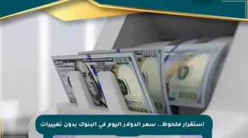 🔹 استقرار ملحوظ.. سعر الدولار اليوم في البنوك بدون تغييرات